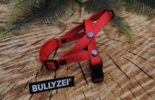 Bullyzei Norwegergeschirr Rot