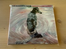 Pure Reason Revolution -