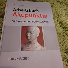 Arbeitsbuch Akupünktur