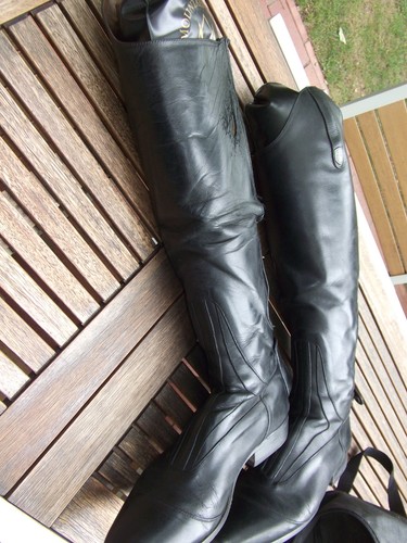 Herren reitstiefel - herren,