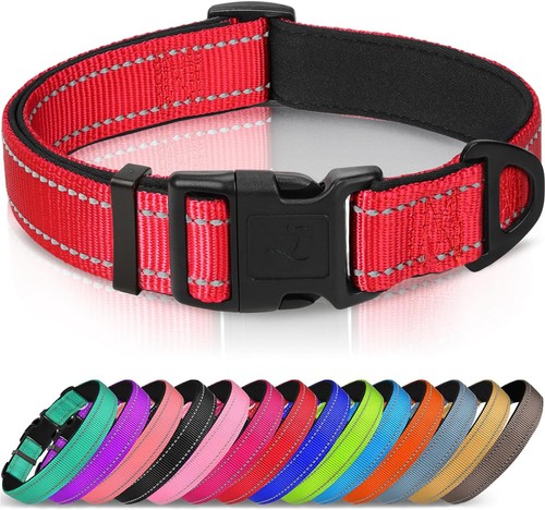 Halsband hund gepolstert - hund,