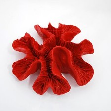 Rosenkoralle,13 x 12 x 5