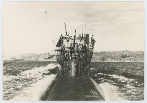 Repro foto boot - repro, typ