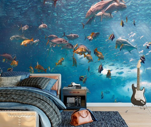 Ozean fische q6505 tapete - 3d,