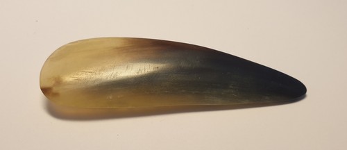 Echte horn brosche - horn,
