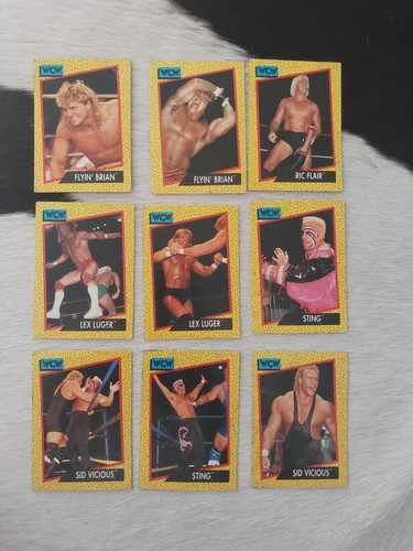 Wcw wwf wwe wrestling - wwf,