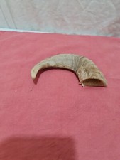 SCHAFHORN/WIDDER GAUNER/HIRTENGRIFF IDEAL FÜR SPAZIERSTOCKHERSTELLUNG