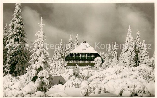 Wildsee schwarzwald - wildsee,