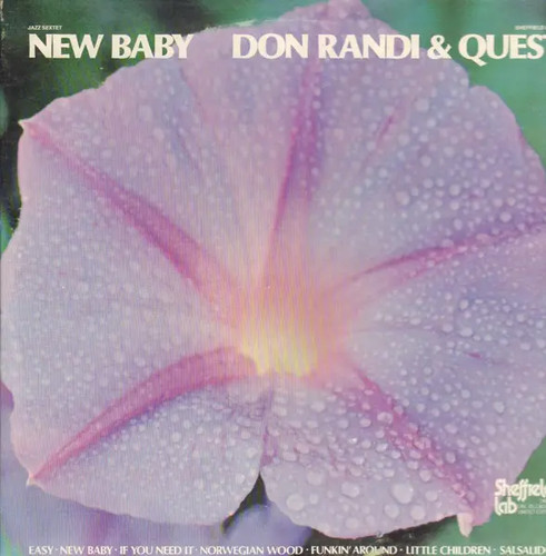 Don randi and quest new - quest,