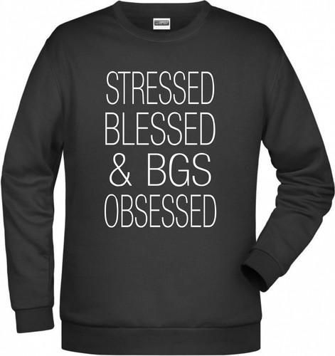 Bgs bayerischer - bgs,