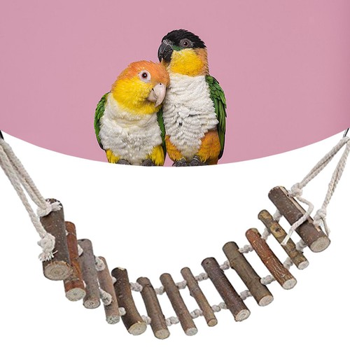 Vogelleiter ständer haustier - vogelleiter,