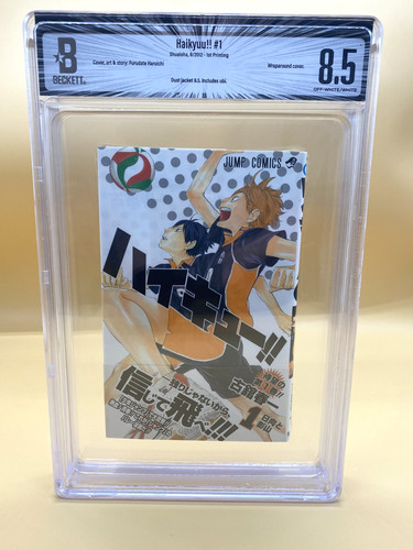 Bgs haikyu vol 1 - bgs, 8.5