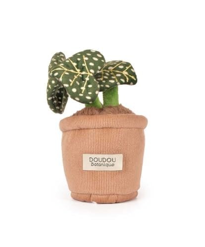 Doudou botanique - doudou,