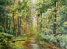 Aquarellbild Original 40x30