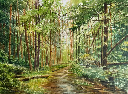 Aquarellbild original 40x30 - original,