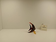 eine Schöne Fisch Fenice