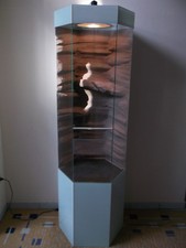 6Eck Hochkant Glas Terrarium