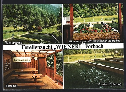 Forbach murgtal - forbach, im