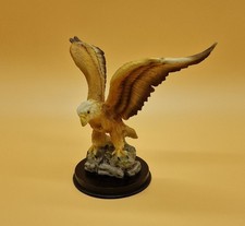 Adler Weißkopfadler Seeadler