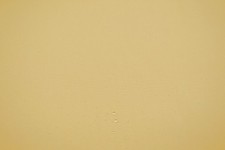 Markisenstoff gelb 160cm breit