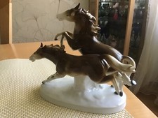  Pferde Paar Thüringen 