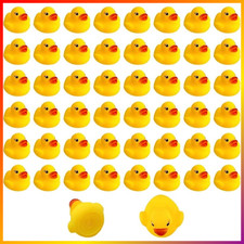 50 Stück Gummi Enten