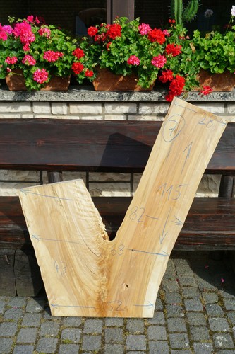 Baumscheibe holzscheibe - baumscheibe,