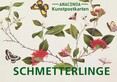 Postkarten set schmetterlinge - postkarten-set,