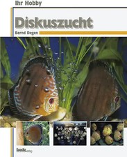 Diskuszucht