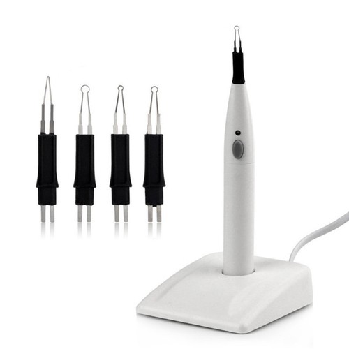 Dental equipment gutta - dental, percha