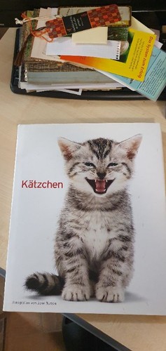 Kätzchen bildband jane burton - kätzchen,