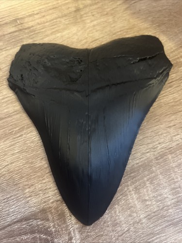 Megalodon haizahn replik - megalodon,