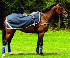 Horseware Rambo Competition