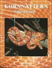 Kornnattern von Schmidt, Wolfgang | Buch | Zustand sehr gut