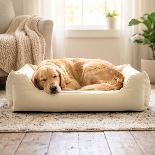 Orthopädisches hundebett - orthopädisches,