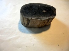 Versteinertes Holz von Queensland / Australien