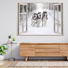 Siberian Husky Hund läuft im