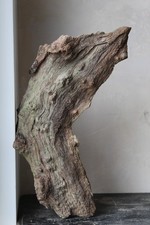 Deko Holz 50 cm Treibholz