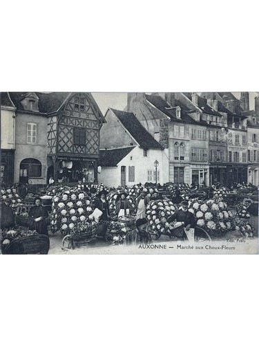 Auxonne - , (côte-d'or)