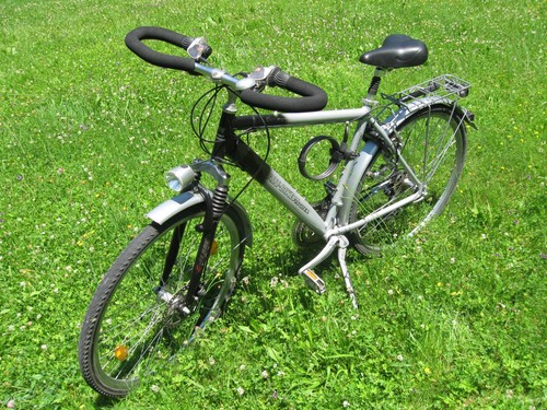 Gang zoll fischer - 24-gang,