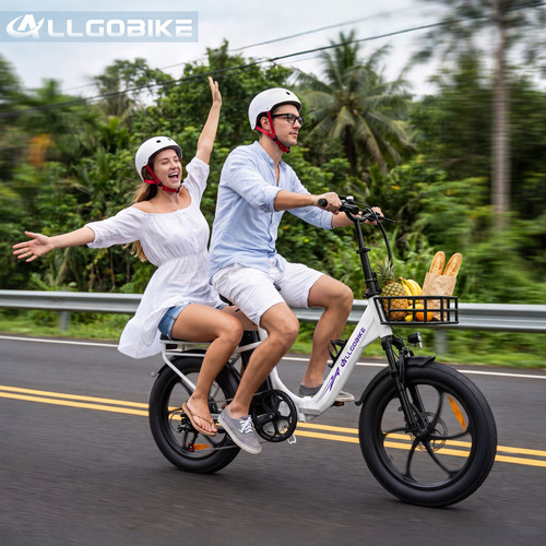 Allgobike ac20 klapprad - allgobike,