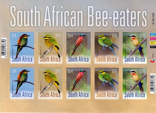 Sale südafrika - sale, |