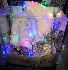 Hase In Schöner Geschenkbox