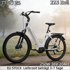 250W 20AH Elektrofahrrad TTGO
