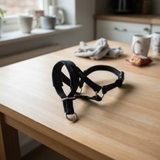 Hundehalsband Halfter Nylon