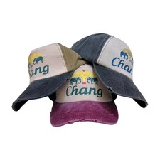 Chang Bier Hut Trucker