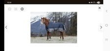 EquiTheme Winterdecke 50g