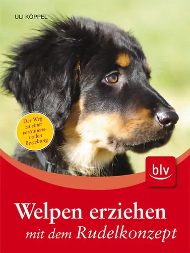 Welpen erziehen mit dem