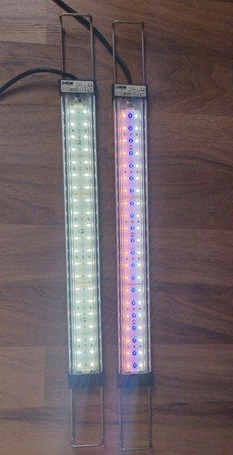 Eheim powerled fresh daylight - eheim,