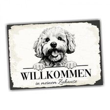 Hundeschild Willkommen Zuhause Bichon Frise No.1 Dog Schild Spruch Türschild War